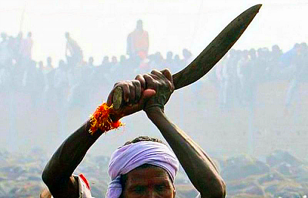 sacrifice india